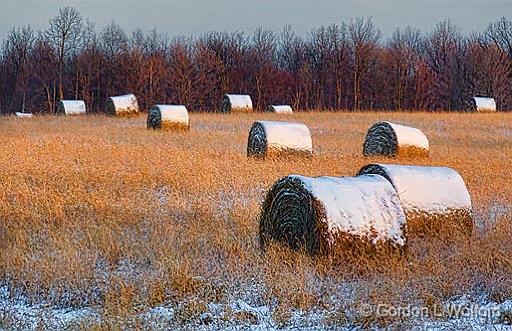 Snow-capped Bales_03127-8.jpg - Photographed at sunrise near Frankville, Ontario, Canada.